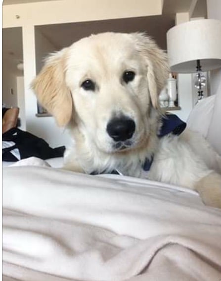 reviewer-profile-image