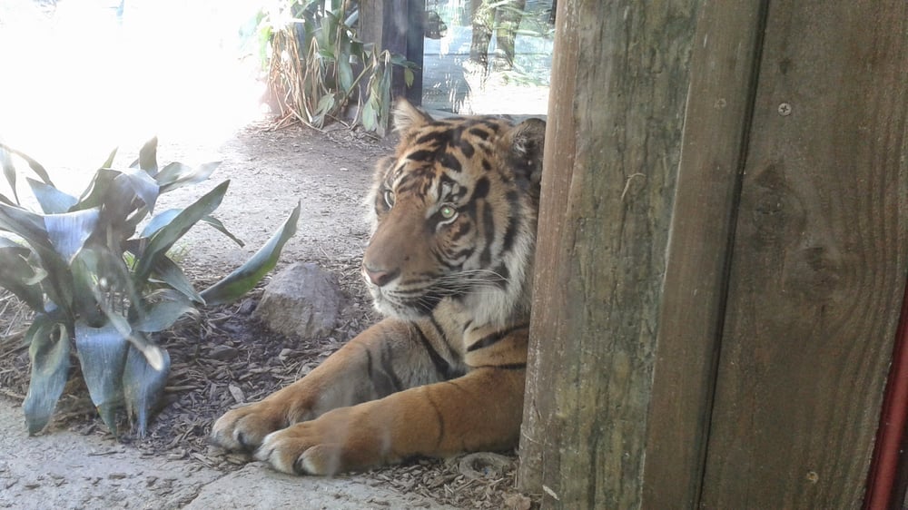 reviewer-profile-image