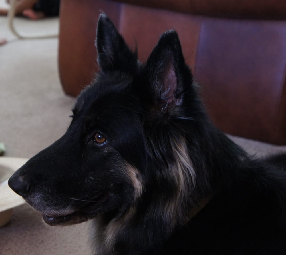 reviewer-profile-image