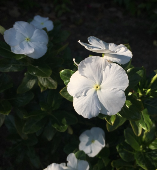 reviewer-profile-image