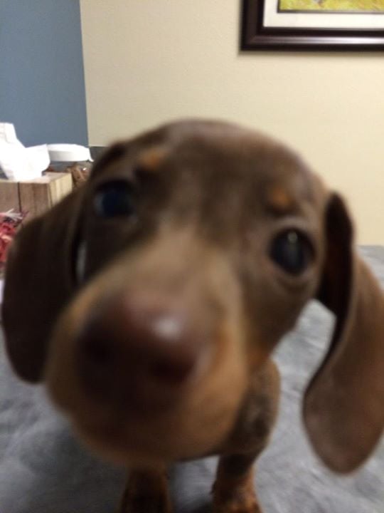 reviewer-profile-image