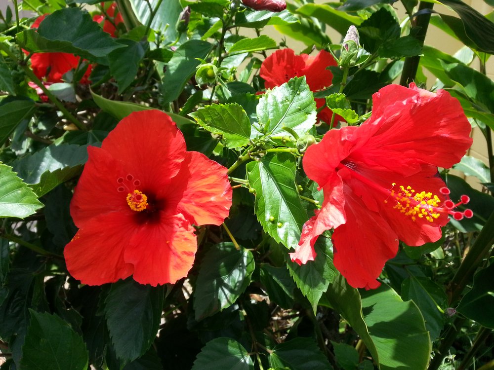 reviewer-profile-image