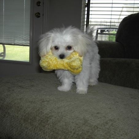 reviewer-profile-image